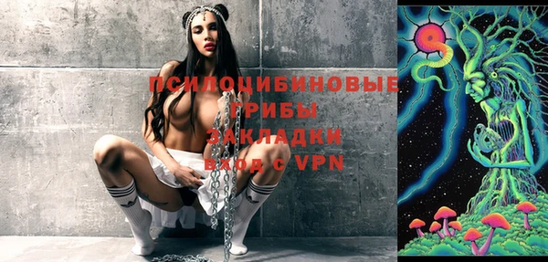 твердый Абаза
